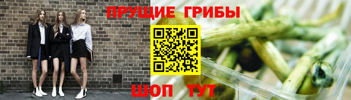 Псилоцибиновые грибы Magic Shrooms Краснознаменск